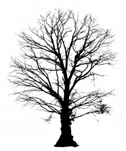 tree silhouette - Google Search | So ya wanna paint a picture ...