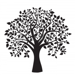 Black And White Tree Of Life PNG Transparent Black And White ...