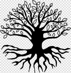 Black tree of life , Root Tree , tree roots transparent ...