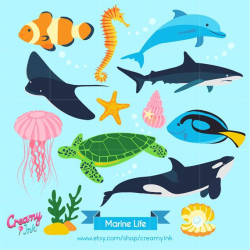 Ocean Digital Vector Clip art / Marine Life Clipart Design ...