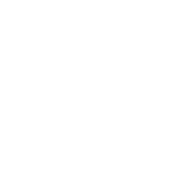 Black And White Tree Of Life PNG Transparent Black And White Tree Of ...
