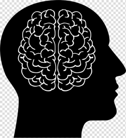 Human brain Human head , Brain transparent background PNG ...