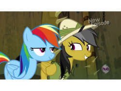 Image - Daring Do sheepish grin S4E04.png | My Little Pony ...