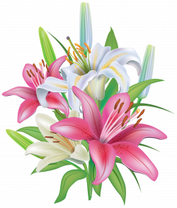 Pink lilies clipart #6 | Flores | Pinterest | Pink lily and Clipart ...