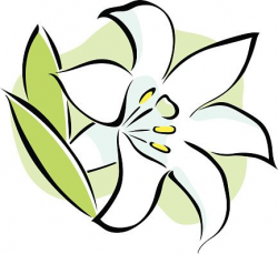 Easter Lily Clipart - cilpart