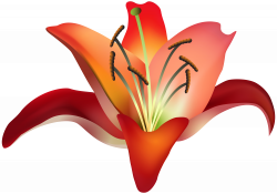 Red Flower PNG Clip Art Image | Gallery Yopriceville - High-Quality ...