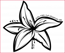 Best Water Lily Clipart Black And White Pencil In Color Picture For ...