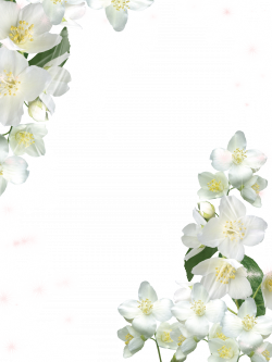 Transparent White Photo Frame with White Flowers | YAZI FONLARI 2 ...