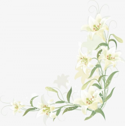 Hand-painted Lily Border, Vector, Cartoon, Hand Painted PNG ...