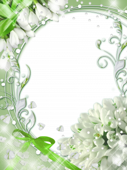 Green-PNG Photo Frame with Snowdrops | Frames and Boarders ...