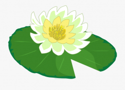 White Flower Water Lily Clipart The Cliparts Png - Cartoon ...