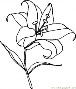 Stargazer Lily Coloring Pages Luxury Library Clipart Google ...