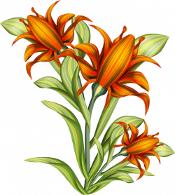 Clipart - Flowers 18