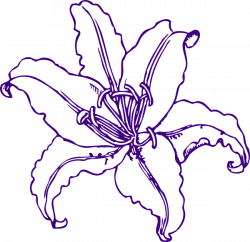 Purple Lilly Clip Art at Clker.com - vector clip art online, royalty ...