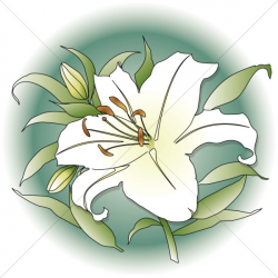 Easter Lily Clipart Black And White – HD Easter Images