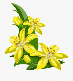 Lily Flowers Clipart At Getdrawings - Tropical Flowers ...