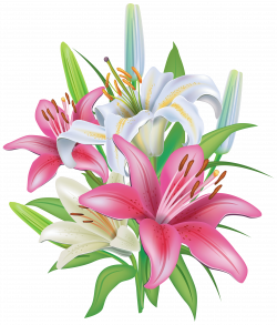 Lilies Flowers Decoration PNG Clipart Image - Clip Art Library