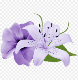 urple deco flowers png clipart 179 0 - lily flower purple ...