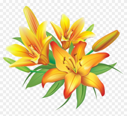 Yellow Lilies Flowers Decoration Png Clipart Image - Lily ...