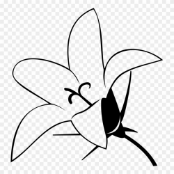 Lily Outline Clipart Lily Clip Art - Outline Picture Of Lily ...