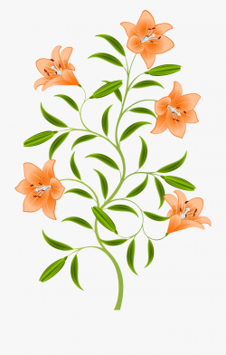 Orange For Free Download On Mbtskoudsalg - Tiger Lily Flower ...