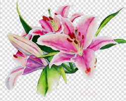 Watercolor Pink Flowers clipart - Flower, Lily, Pink ...