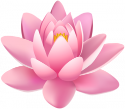 Pink Lily Flower PNG Clip Art Image | Gallery Yopriceville - High ...