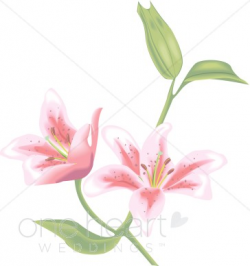 Tiger Lilies Clipart | Wedding Lily Clipart