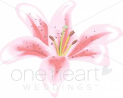 Wedding Lily Clipart | Wedding Lily Clipart