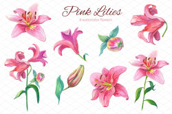 Pink Lilies.Watercolor clipart. #weddings#crafts#parties ...