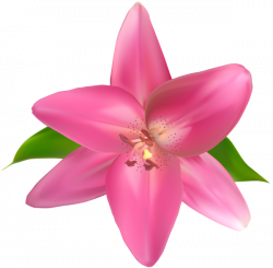 Pink Flower PNG Clip Art Image | Gallery Yopriceville - High ...