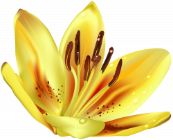 Flower Yellow Transparent Clip Art Image | Gallery Yopriceville ...