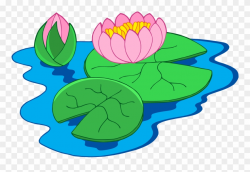 Nymphaea Alba Clip Art - Clip Art Of Water Lily - Png ...