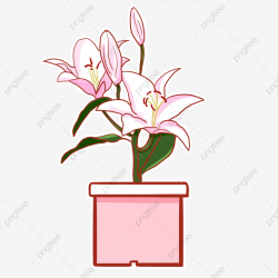 Pink Cartoon Cute Lily Potted Plant Material Download, Pink ...