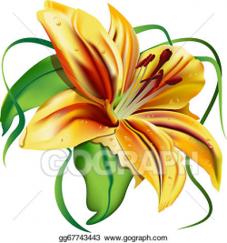 Stock Illustration - Beautiful lily. Clipart gg67743443 ...