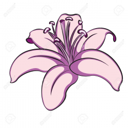 Free Easter Lily Clipart | Free download best Free Easter ...