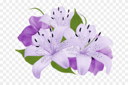 Lily Clipart Sea Flower - Purple Flowers Clipart Png ...