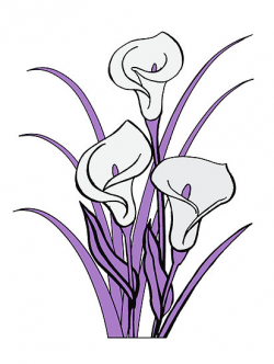 Lily Flower Clipart | Free download best Lily Flower Clipart ...