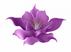 Purple Flowers Background Flower Transpa Clip Art ...