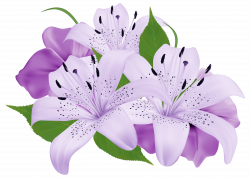 Purple Exotic Flowers PNG Clipart Image | Gallery Yopriceville ...