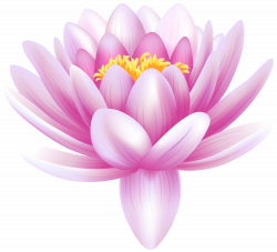 28+ Collection of Pink Water Lily Clipart | High quality, free ...