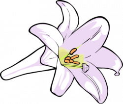 Lily clipart for your project | ClipartMonk - Free Clip Art Images