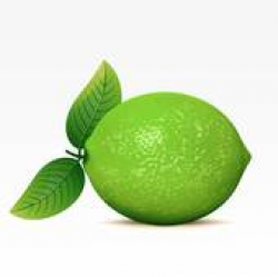 Lime Clip Art - Royalty Free - GoGraph