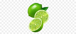 Lemon Drawing png download - 330*385 - Free Transparent Lime ...