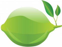 Lime PNG Image - PurePNG | Free transparent CC0 PNG Image Library