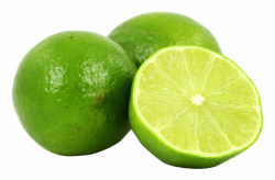 lime png - Free PNG Images | TOPpng