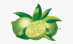 Citrus Fruit - Limes Clipart #995631 - Free Cliparts on ...