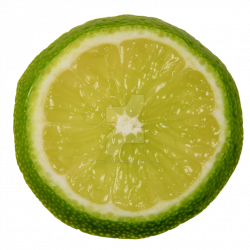 Lime Slice PNG by Bunny-with-Camera on DeviantArt