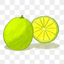 Summer Fruit Fresh Fruit Lemon, Lime, Hand Painted, Cartoon ...