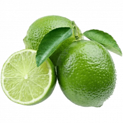 Lime Close Up transparent PNG - StickPNG